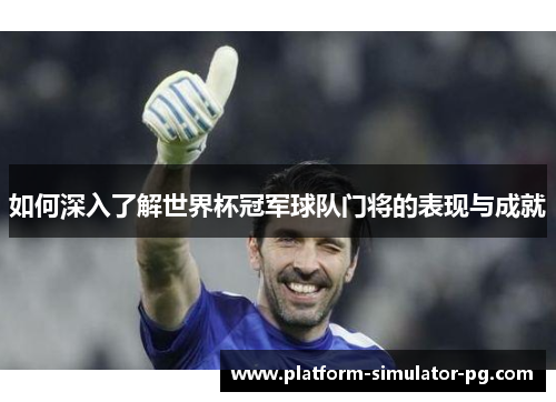 如何深入了解世界杯冠军球队门将的表现与成就