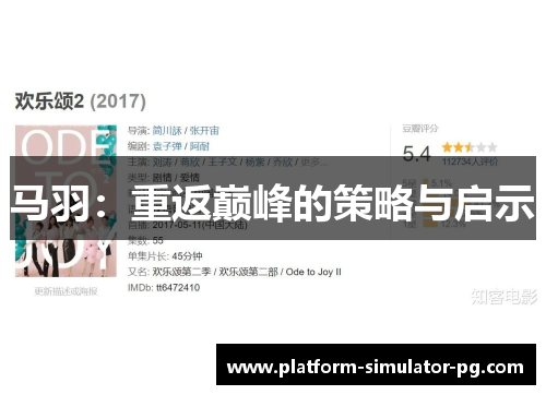 马羽：重返巅峰的策略与启示