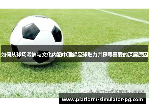 如何从球场激情与文化内涵中理解足球魅力并探寻喜爱的深层原因