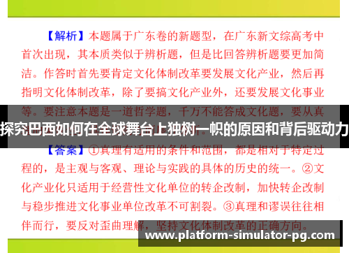 探究巴西如何在全球舞台上独树一帜的原因和背后驱动力