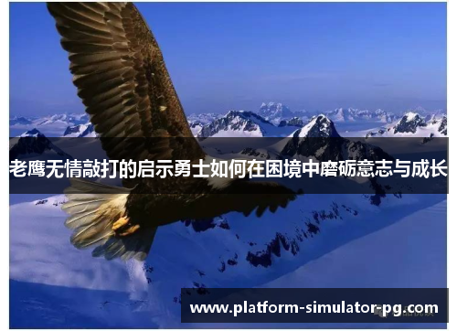 老鹰无情敲打的启示勇士如何在困境中磨砺意志与成长