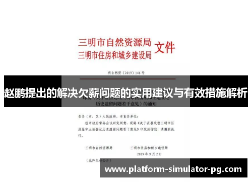 赵鹏提出的解决欠薪问题的实用建议与有效措施解析 赵鹏提出的解决欠薪问题的实用建议与有效措施解析