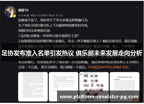 足协发布准入名单引发热议 俱乐部未来发展走向分析