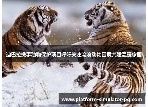 迪巴拉携手动物保护项目呼吁关注流浪动物困境共建温暖家园 迪巴拉携手动物保护项目呼吁关注流浪动物困境共建温暖家园