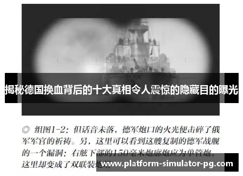 揭秘德国换血背后的十大真相令人震惊的隐藏目的曝光