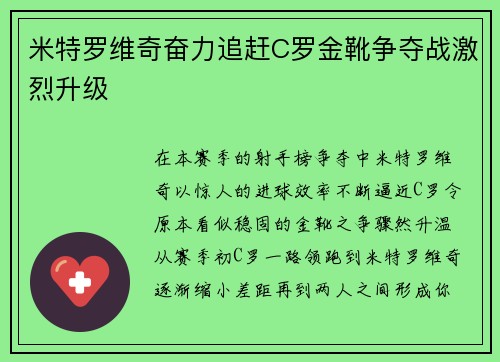 米特罗维奇奋力追赶C罗金靴争夺战激烈升级